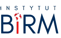 Logo Instytutu Bezpieczeństwa i Rozwoju Międzynarodowego
